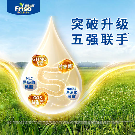 [大罐3段]港版金装美素佳儿 Friso全新6HMO结构+MLC易吸收乳脂配方幼儿奶粉3段（12-36个月）800g 商品图2