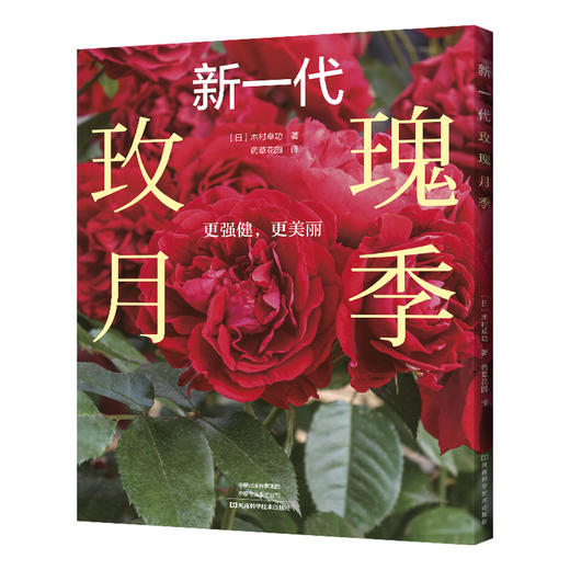 新一代玫瑰月季 商品图0