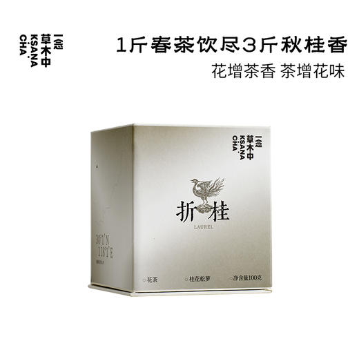 折桂·桂花松萝 | 功夫口粮系列 | 100g原叶｜绿茶类 商品图0