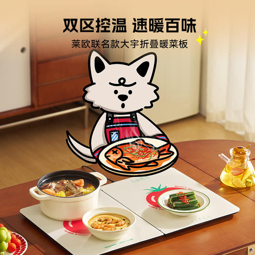 大宇2025新款折叠暖菜板饭菜保温板WB09PRO 商品图0