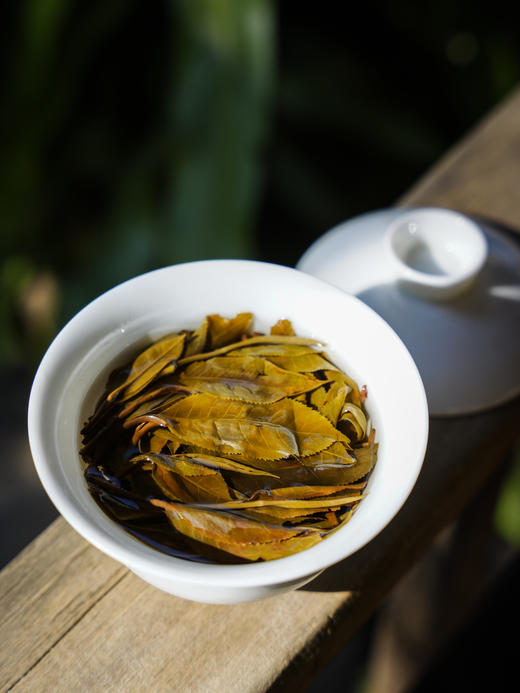 【1类桃子寨】2025年Ⅰ类桃子寨超大古树典型的鲜奶香 高 花香等最高的达20米；矮一点的有8米多，500克/箱 商品图3