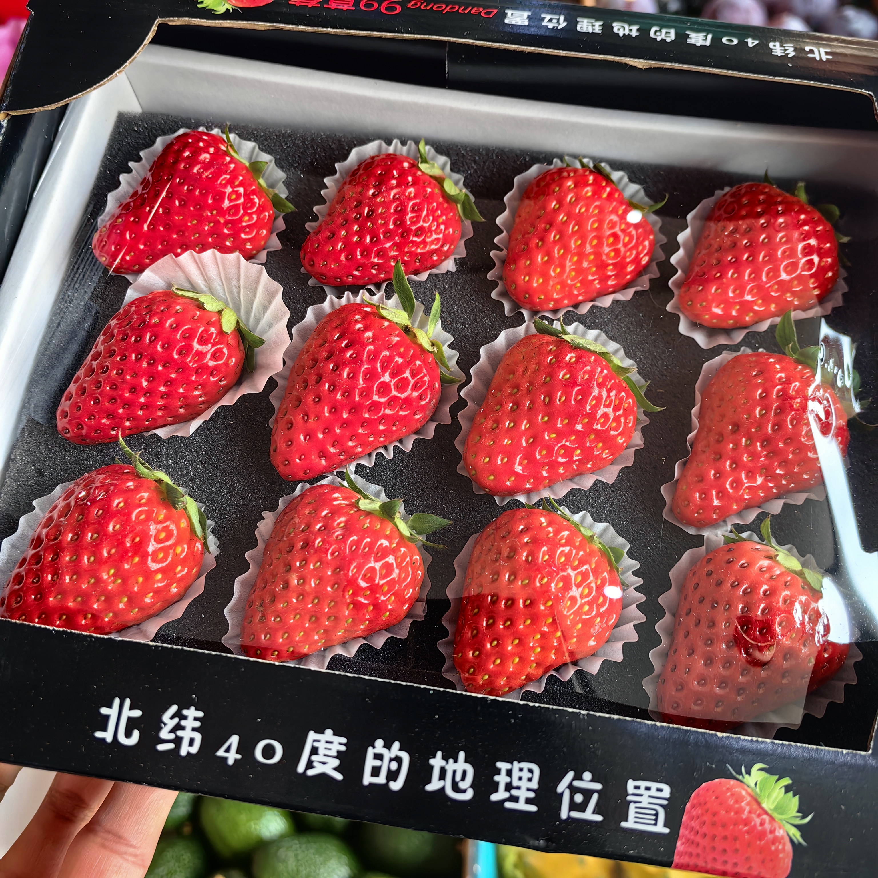 【地标好货】正宗丹东99草莓两种包装随机顺丰包邮【仅发京津冀】*3盒