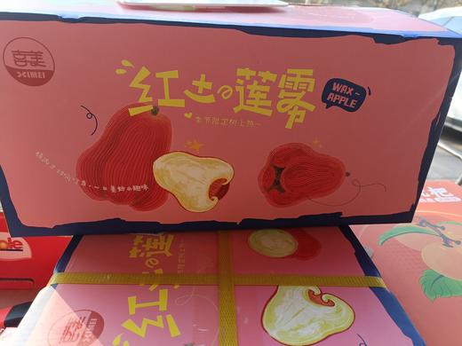 海南空运红土莲雾 精选果  整箱4斤装 商品图5