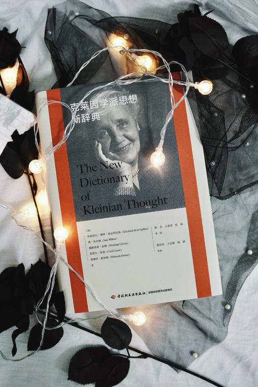 万千心理·克莱因学派思想新辞典（精装） 商品图3