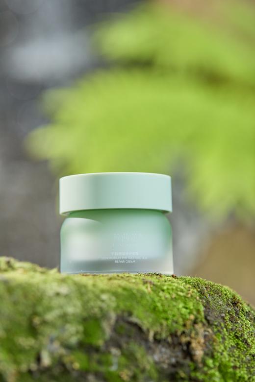 芳茜芷植御石斛修护面霜 商品图3