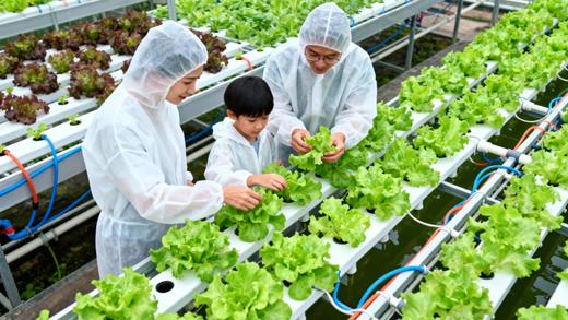 【2H公益时长】未来农场开放日：翠湖工场亲子探秘半日营 商品图1