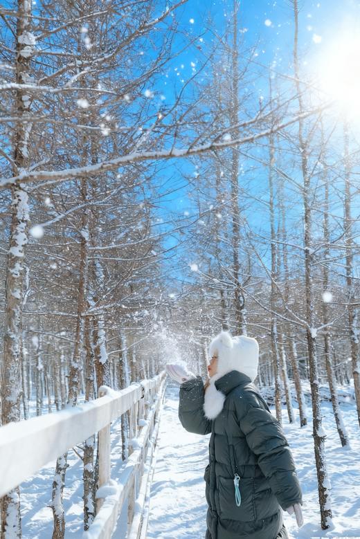 【26寒假亲子】林海雪原不用再去东北,北京出发乌兰布统,含大交通,住一晚首都,1家1越野车,多伦湖冬捕\鄂温克驯鹿\爬犁|6~15岁亲子 商品图1