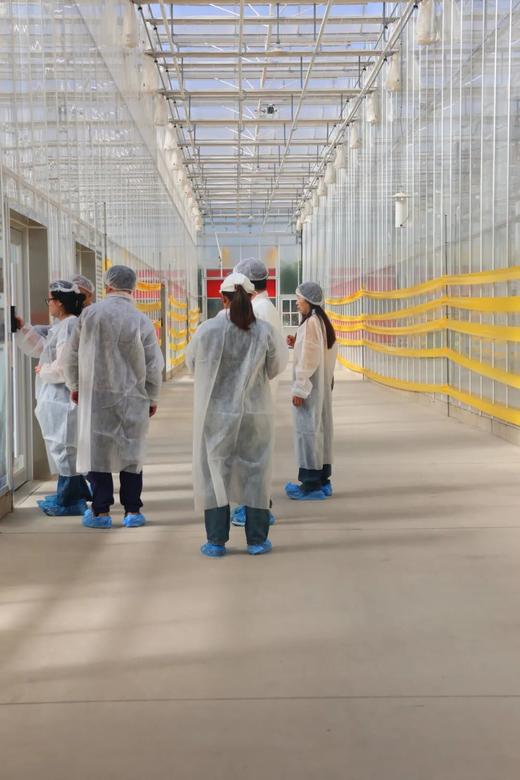 【2H公益时长】未来农场开放日：翠湖工场亲子探秘半日营 商品图2