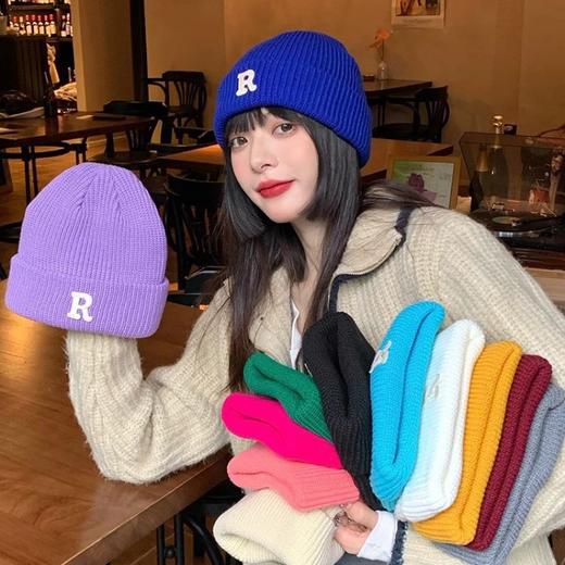 【年年超火爆火秋冬帽🧧开团💰19.9元任意选择2顶❗️】巨百搭，⁣经典色系，⁡搭配衣服绝了❗️随时下架💥拼手速❗️店 商品图0