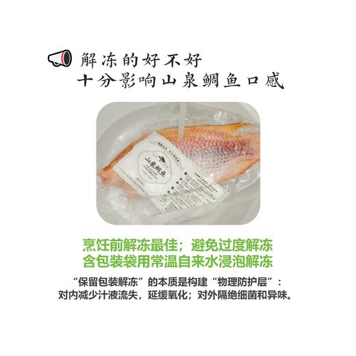 山泉鲷鱼 商品图2