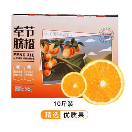 2025年新品【原产地直发水果】重庆特色奉节脐橙（10斤/20斤装，每箱16-18个) 商品图5