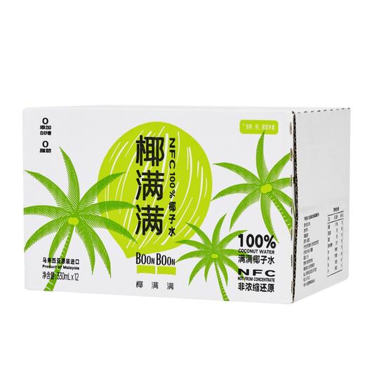 椰满满椰子水 马来西亚进口椰子水补充电解质  330ml/瓶 商品图5