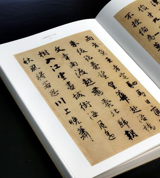 彩色放大本中国著名碑帖之:《王铎名笔》，布脊精装，8开，王铎著，上海辞书出版社2020年一版，定价420，售价148元。（全新塑封包邮） 商品图7