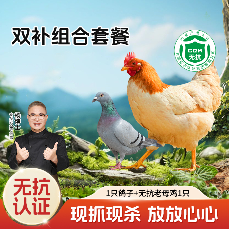 【杨博士自营 双补组合】1只鸽子+散养无抗老母鸡1只
