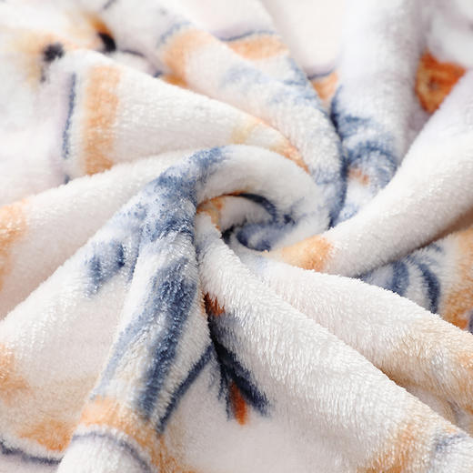 富安娜（FUANNA）单层富安娜（FUANNA）法兰绒毯-云晓星尘150*200cm 商品图3