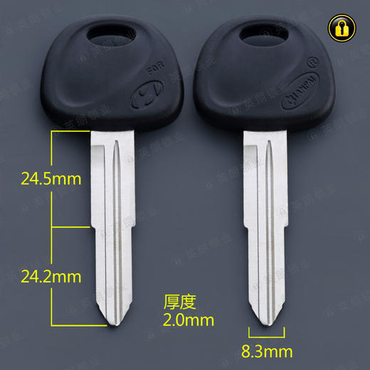 〖6096〗胶依兰特右 商品图0