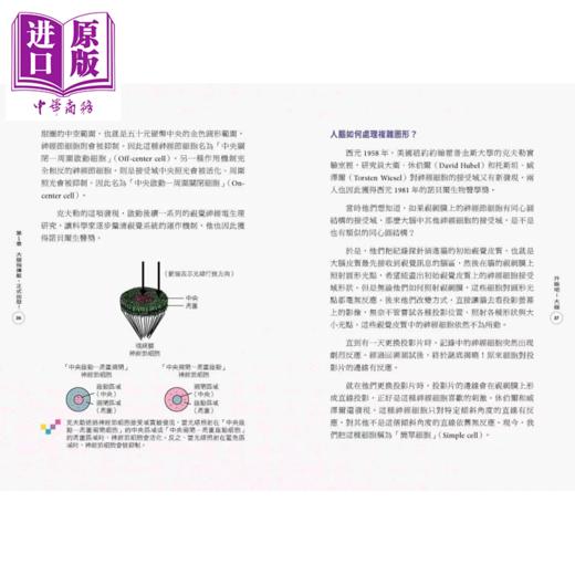 【中商原版】升级吧 大脑 激发大脑超能力 破解金鱼脑 脑腐陷阱 算法操控的秘密 谢伯让 亲子天下 港台原版 商品图2