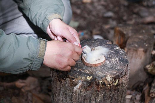 【智行研学】2026元旦假期研学活动！ 商品图3