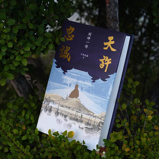 天许忠诚：刘坤一传 商品图8