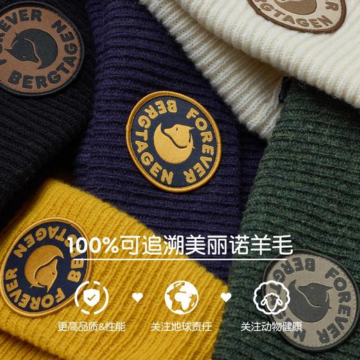 Fjallraven北极狐 Bergtagen男女毛线帽 100%羊毛针织帽13100187 商品图4
