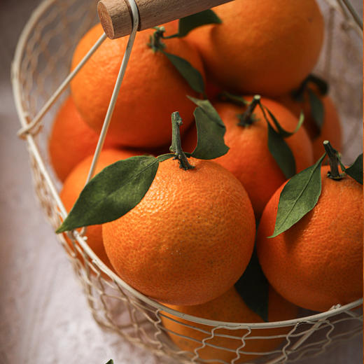 生态红美人果冻橙 商品图6