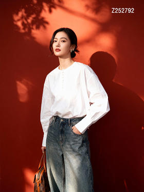 Z252792衬衫