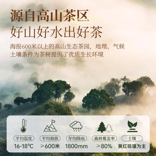 茶马世家丨茶博会金奖 白毫银针 云南白茶 特级 2023年 200g（ 100g*2罐） 商品图4