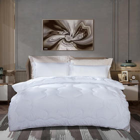 富安娜（FUANNA）云慕抗菌四季被203*229cm