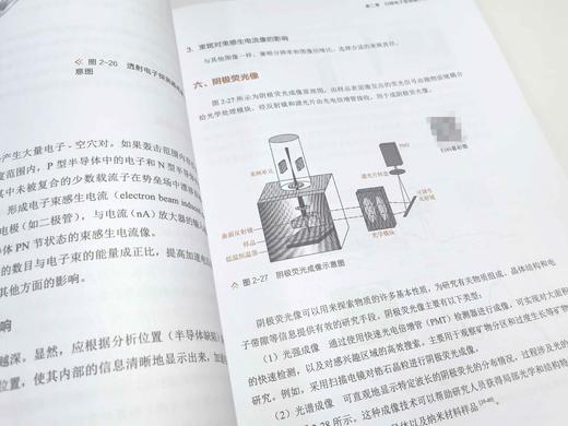 扫描电子显微分析 商品图2