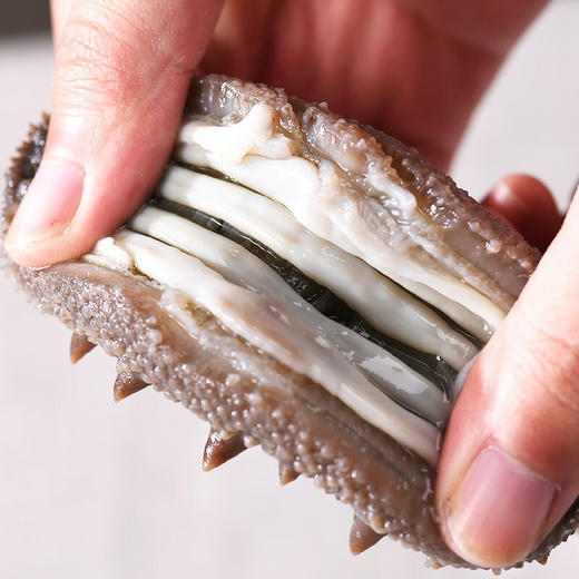 （1217直播）言禧即食海参500g  即食海参（8-10头） 商品图4