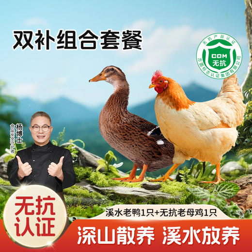 【杨博士自营】溪水老鸭1只+无抗老母鸡1只 商品图0