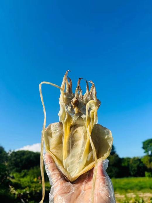 家庭必囤，古早味吊晒的墨鱼干！天然健康 ，煲汤红烧炒菜炖猪脚，鲜香味美 商品图1