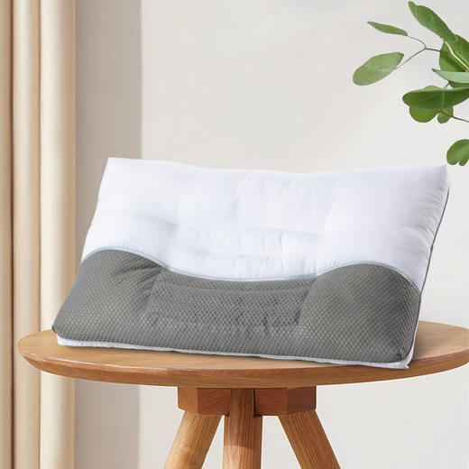 水星家纺 卡拉荞麦抗菌枕 74cm*48cm 舒适健康 草本枕123034 商品图0