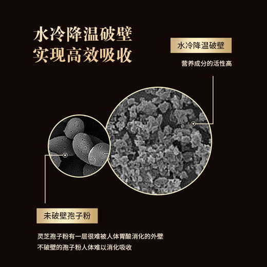 劲牌持正堂破壁灵芝孢子粉胶囊 商品图3