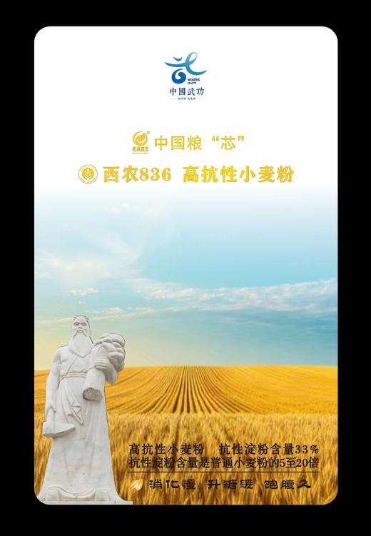 【武功】西农836高抗性小麦粉 商品图0