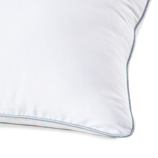 水星家纺DH春眠抗菌对枕 74*48cm 123033 商品图6
