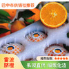 【雷波脐橙】四川大凉山雷波脐橙 新鲜水果现摘整箱 商品缩略图0