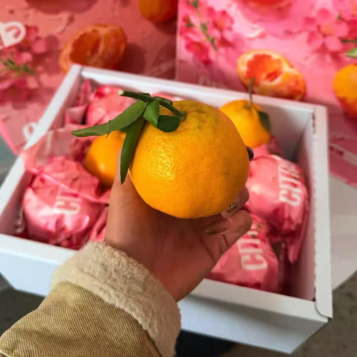 周四取货：【花间颂橘礼盒】一箱毛重8斤左右，甜蜜多汁，滋润入心！！