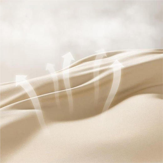 凯伦诗多功能按摩枕充电款 商品图2