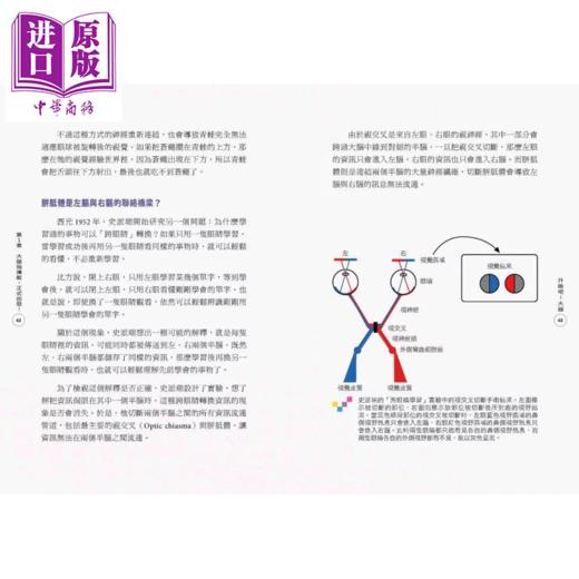 【中商原版】升级吧 大脑 激发大脑超能力 破解金鱼脑 脑腐陷阱 算法操控的秘密 谢伯让 亲子天下 港台原版 商品图3
