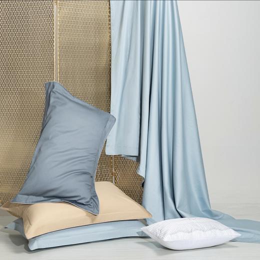 10楼堂皇    全棉本色提花条纹四件套--安纳    吊牌价2090-2290元  活动价499元（大小同价） 商品图3