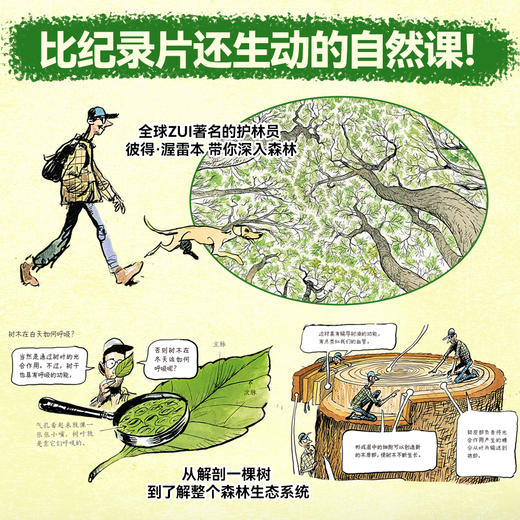 【樊登好书】树的秘密生命（赠观察笔记本） 商品图1