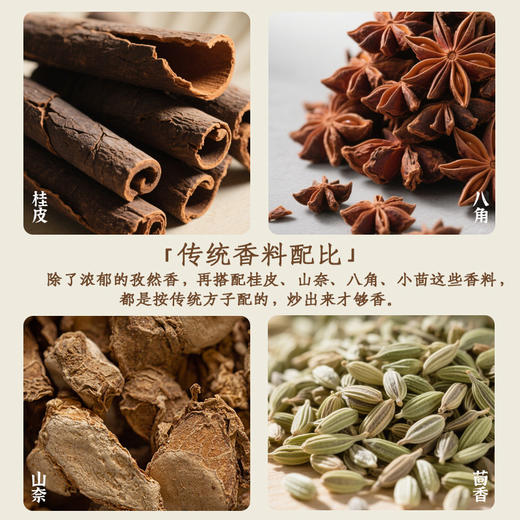 麻辣香锅炒菜酱 植物配方净素 四川干锅酱 微辣 商品图3