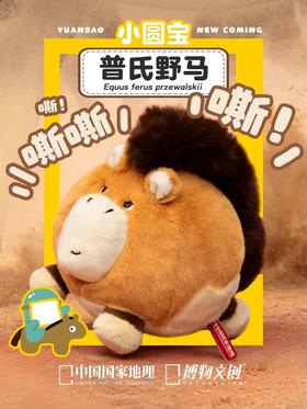 普通野马？普氏野马！！