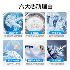 志高（Chigo）6.5公斤家用全自动洗衣机蓝光洗护租房公寓智能波轮洗脱一体机带风干功能XQB65-818A宝石灰 /家用电器 /大 家 电 /洗衣机