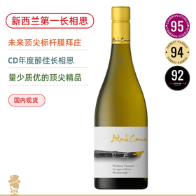 新年份！3个新西兰第壹！年度醉佳长相思！标杆名庄单一园！空画布哈达威单一园长相思干白Blank Canvas Holdaway Vineyard Sauvignon Blanc 2024