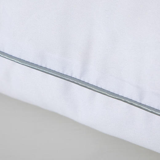 水星家纺 春眠抗菌对枕 74cm*48cmx2个 洁净舒适 抗菌防螨 商品图2