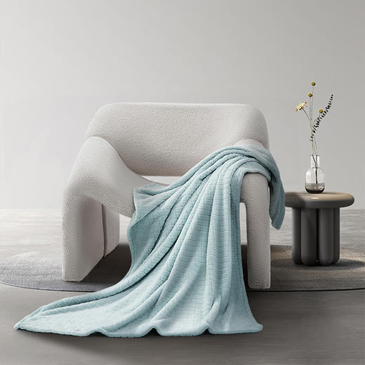 水星家纺家用毛巾毯DH 小方格毛巾毯 100*140cm 126201 商品图4
