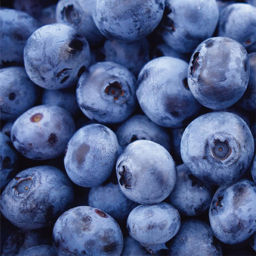 云南花香蓝莓 【顺丰空运发货】 商品图4