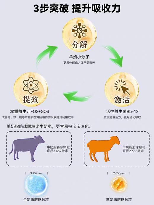 宜品小羊妞妞 A2绵羊奶粉二阶段800克（购满358元参与：1元报名送358元乳铁蛋白） 商品图2